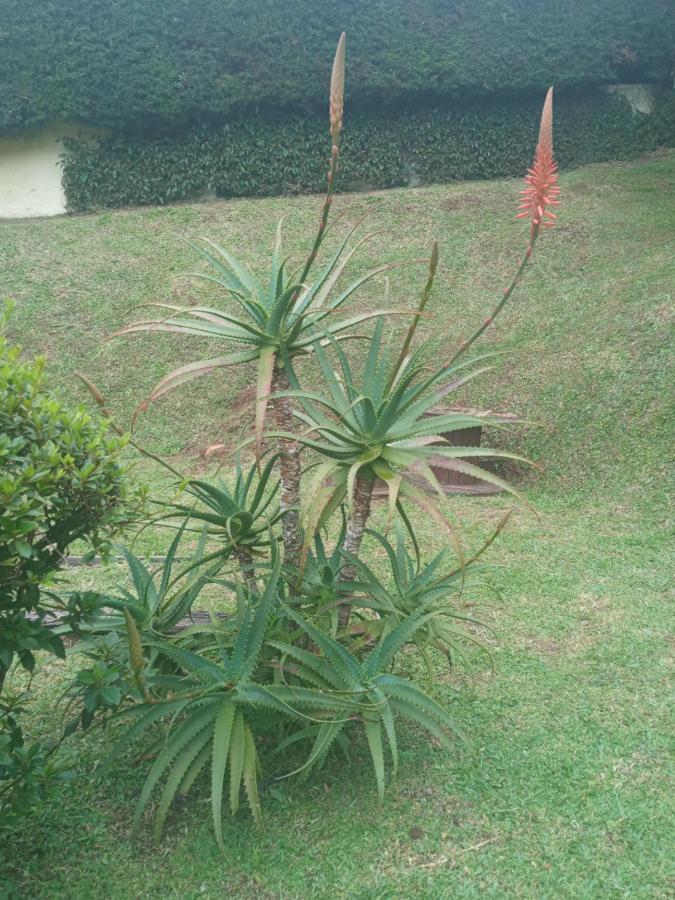 Sonho Meu Campos do Jordão Exterior foto